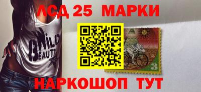 ECSTASY Новодвинск