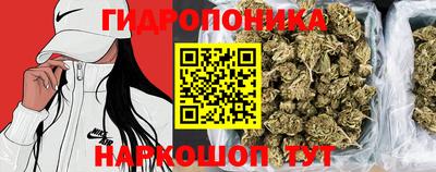 МДПВ Новокубанск