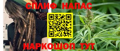 МДПВ Новокубанск