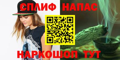 ECSTASY Новозыбков