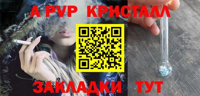 ECSTASY Новодвинск