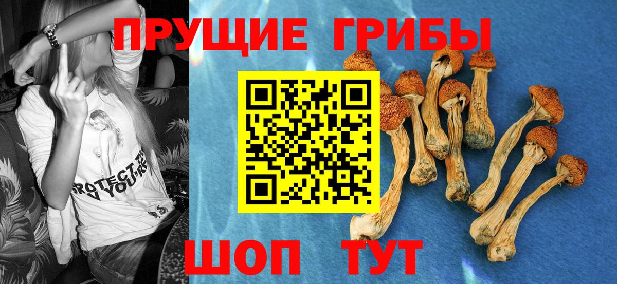 Псилоцибиновые грибы мухоморы  Вход с VPN  Владивосток 