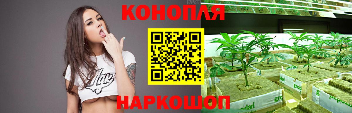 Бошки марихуана OG Kush  МАРИХУАНА LSD WEED  Владивосток  Марихуана Amnesia  МАРИХУАНА план  Вход с VPN 